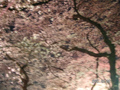 s_PICT0010.jpg